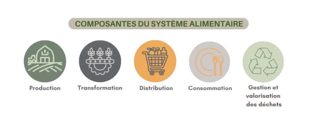 Les composantes du système alimentaire